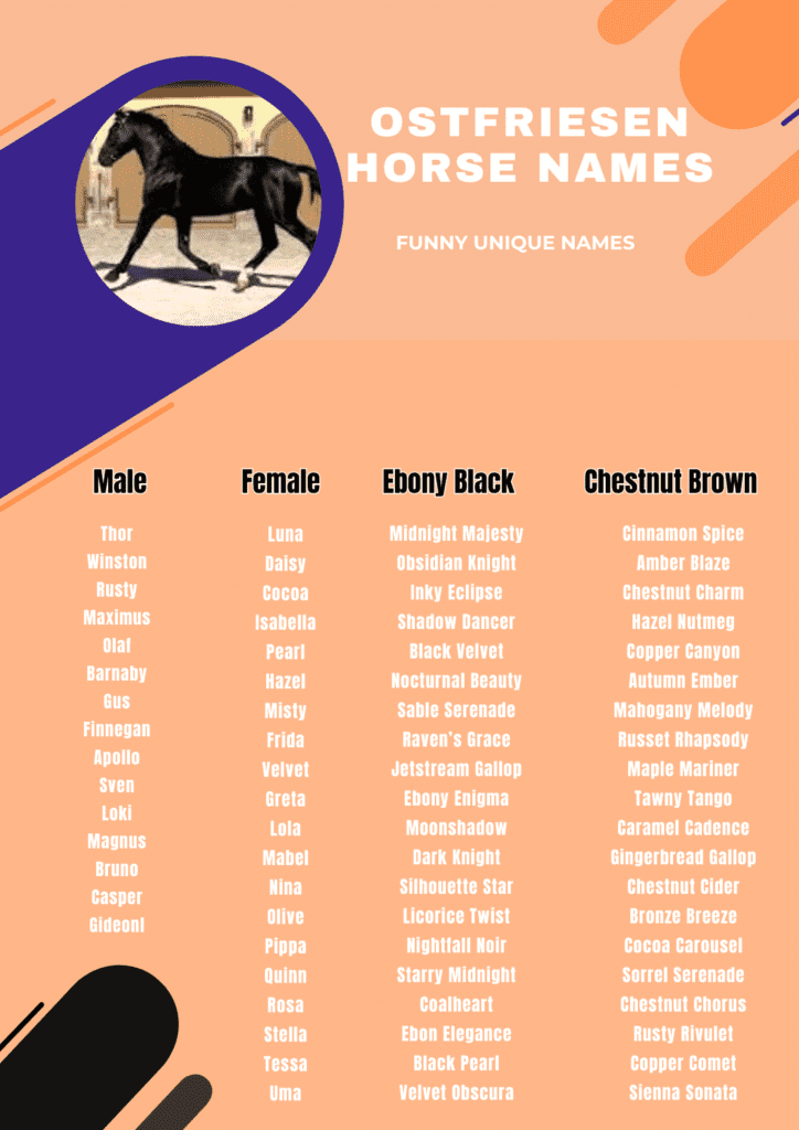 Ostfriesen Horse image with funny and unique names of all breeds.
