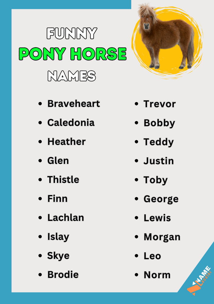 20 Pony Horse Names