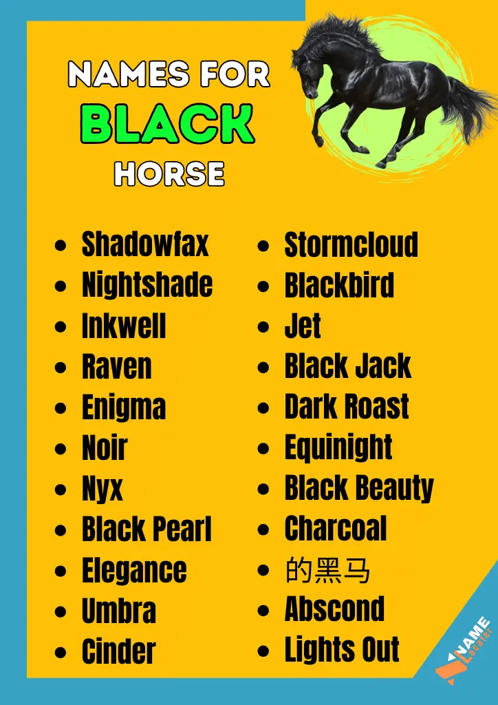 A list of names for a black horse in black and white text, including Shadowfax, Nightshade, Black Beauty, and Ebony.