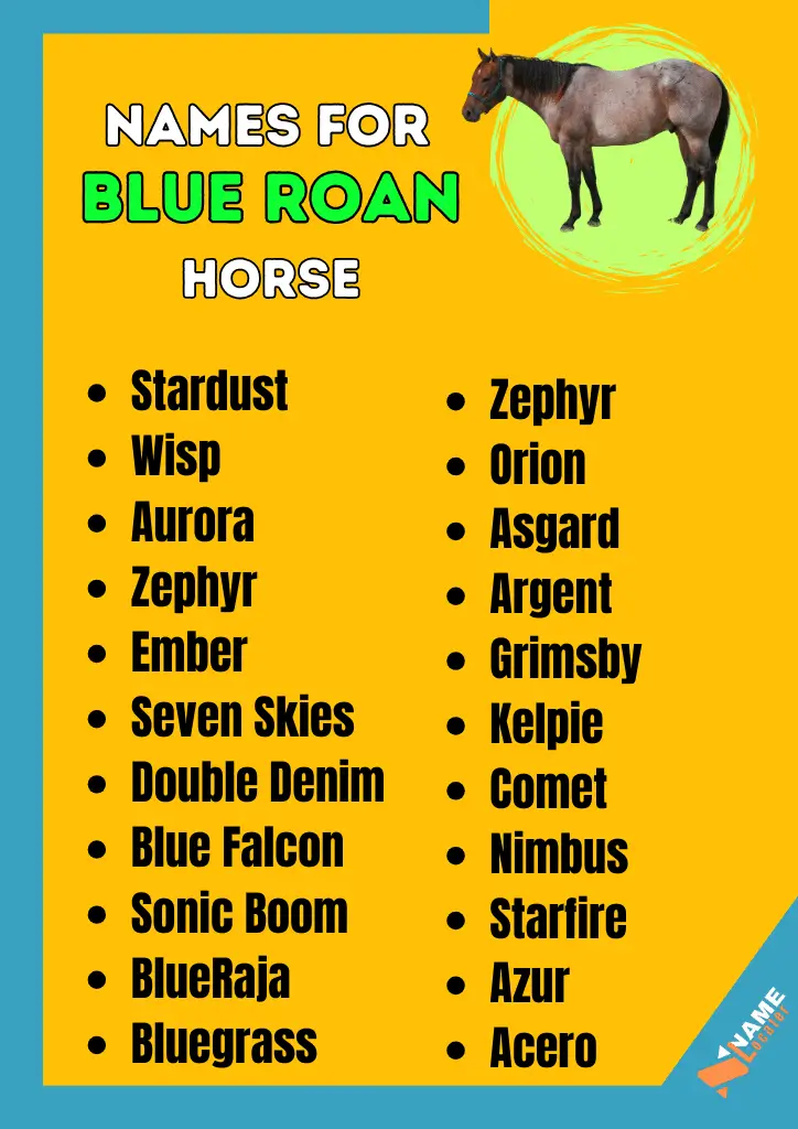 A list of names for a blue roan horse, including Stardust, Zephyr, Wisp, Orion, Aurora, Asgard, Ember, Grimsby, Seven Skies, Kelpie, Double Denim, Comet, Blue Falcon, Nimbus, Sonic Boom, Starfire, Blue Raja, Azur, Bluegrass, and Acero.