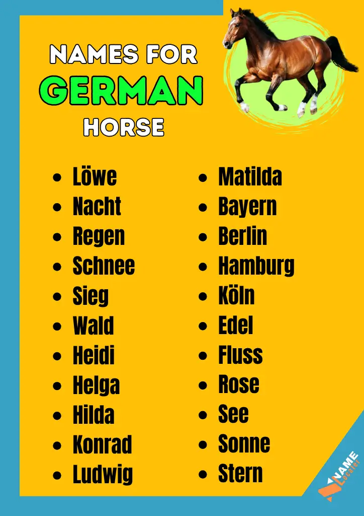 A list of German horse names in two columns, with names like Löwe, Nacht, Regen, Schnee on the left and Matilda, Bayern, Berlin, Hamburg on the right.