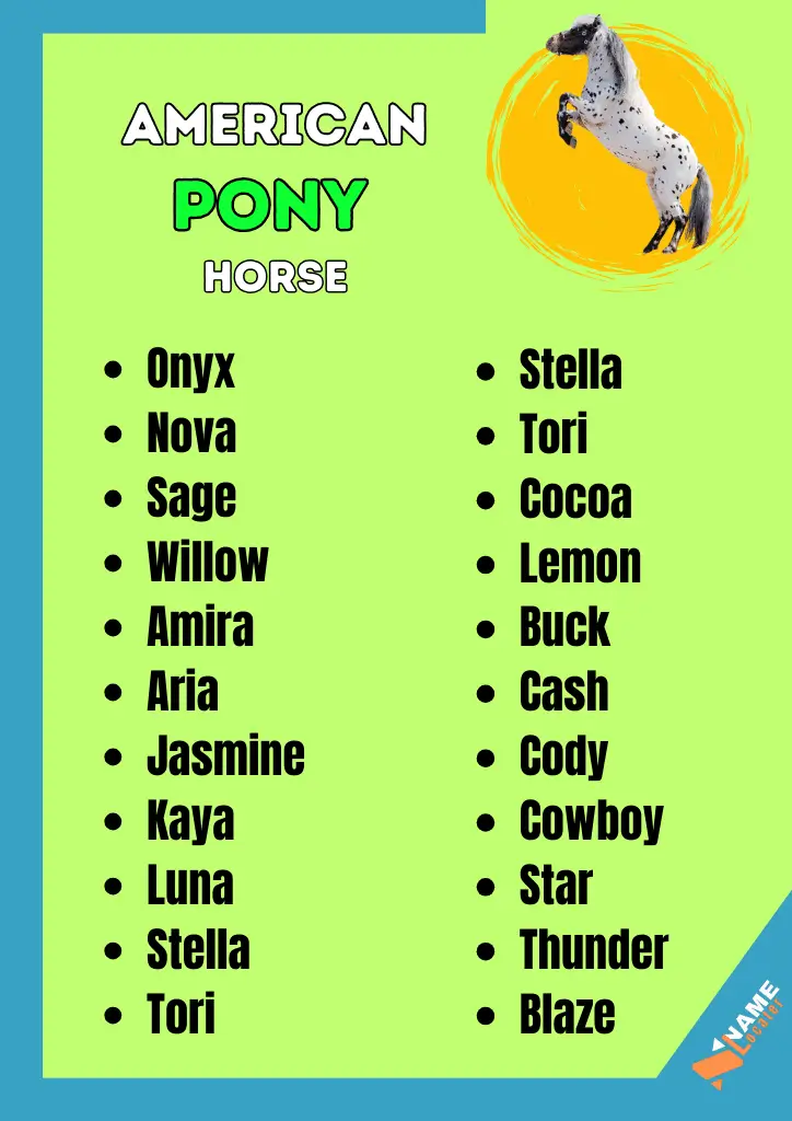 A list of names for American Pony horses.