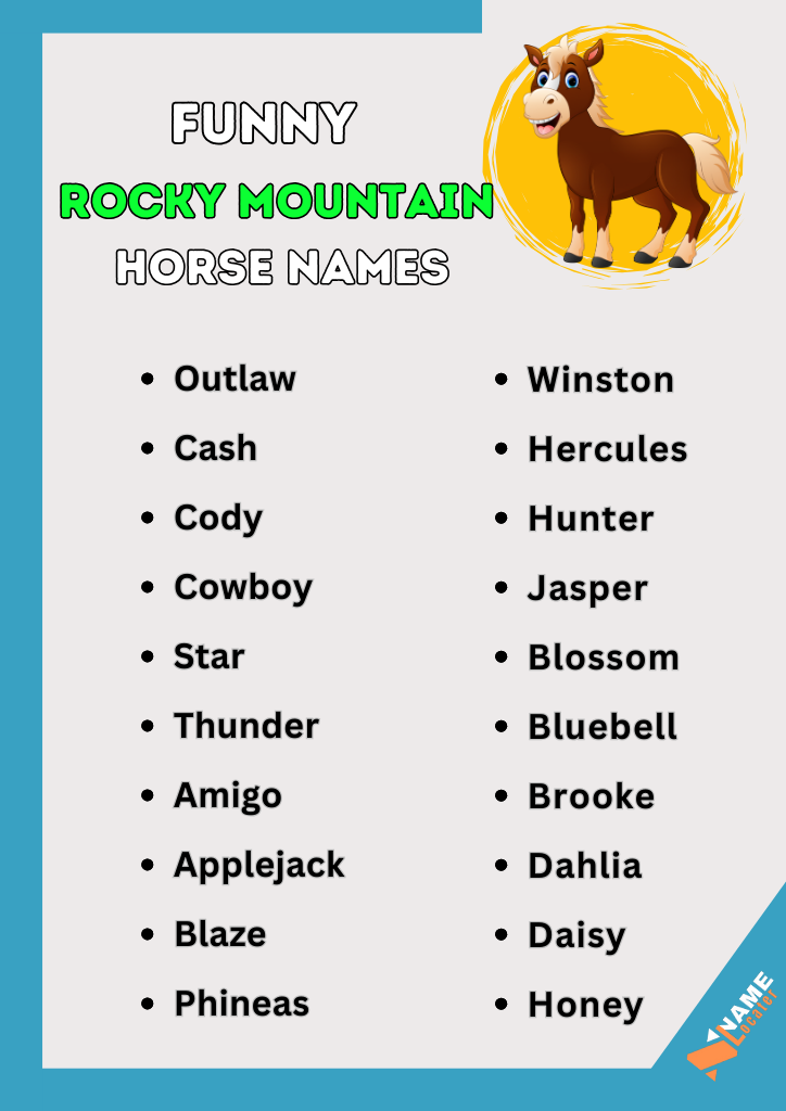 Rocky Mountain Horse