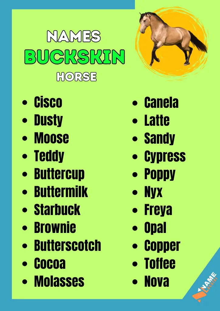 A list of buckskin horse names, including common color-based names (such as Chestnut, Copper, and Butterscotch) and unique names (such as Starbuck, Moose, and Nova).