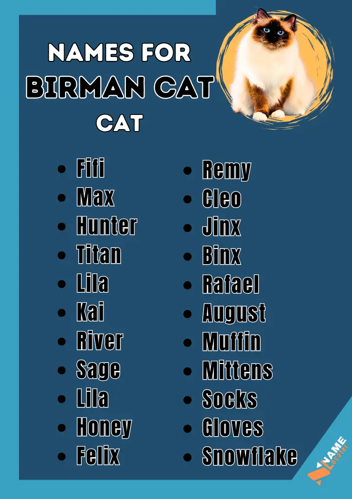 Names for Birman Cat