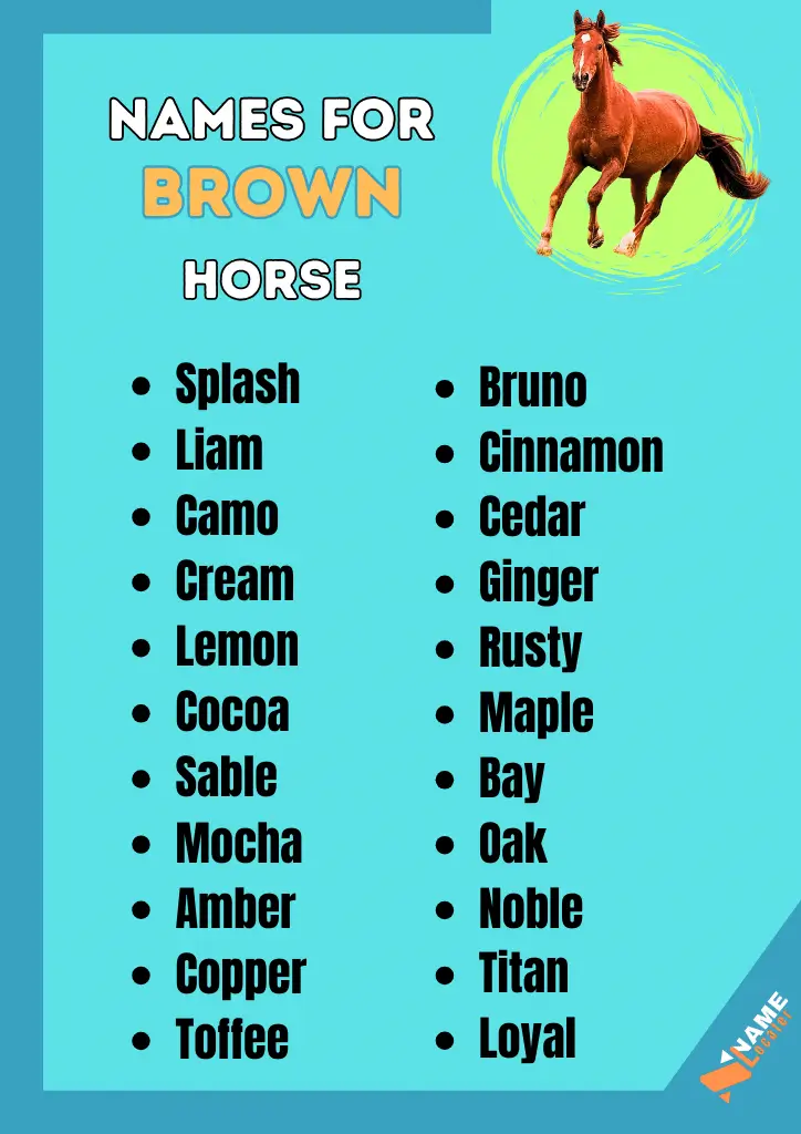 Picking the perfect name for your brown horse? This list has you covered, with options from common colors like "Chestnut" to food-inspired names like "Ginger" and "Mocha."