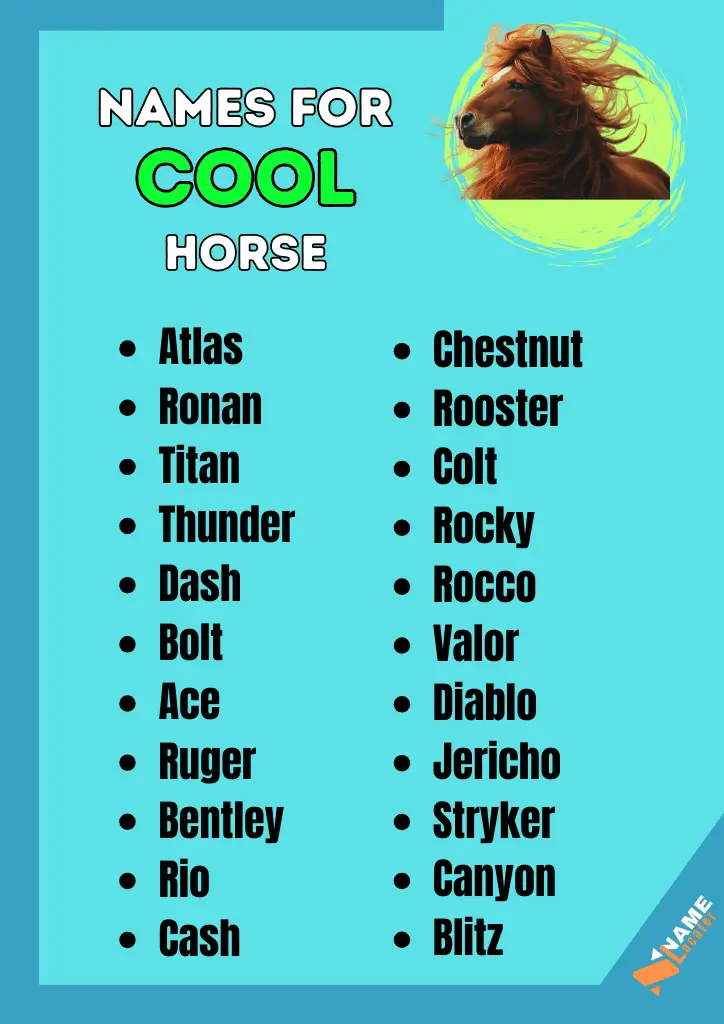 A list of names for a cool horse.