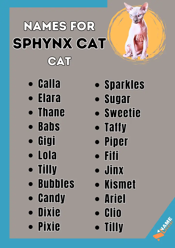 List of names for Sphynx cats