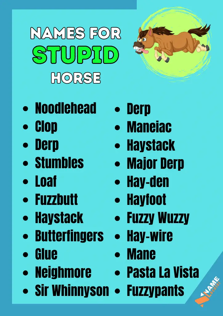 A list of funny names for a horse that is considered silly or goofy.