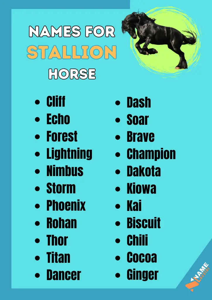 A list of stallion horse names including Cliff, Dash, Echo, Soar, Forest, Brave, Lightning, Champion, Nimbus, Dakota, Storm, Kiowa, Phoenix, Kai, Rohan, Biscuit, Thor, Chili, Titan, Cocoa, Dancer, and Ginger.