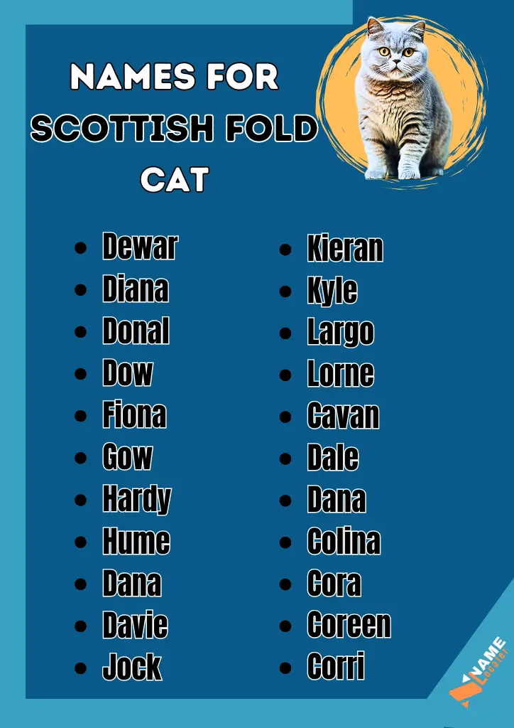 List of Scottish Fold cat names