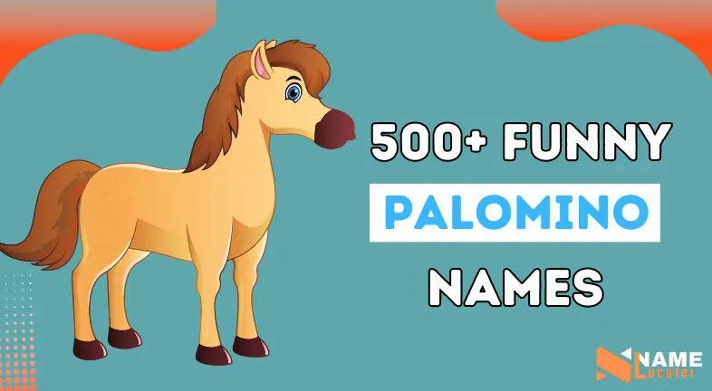 500 Funny Palomino Horse Names (Unique Ideas)