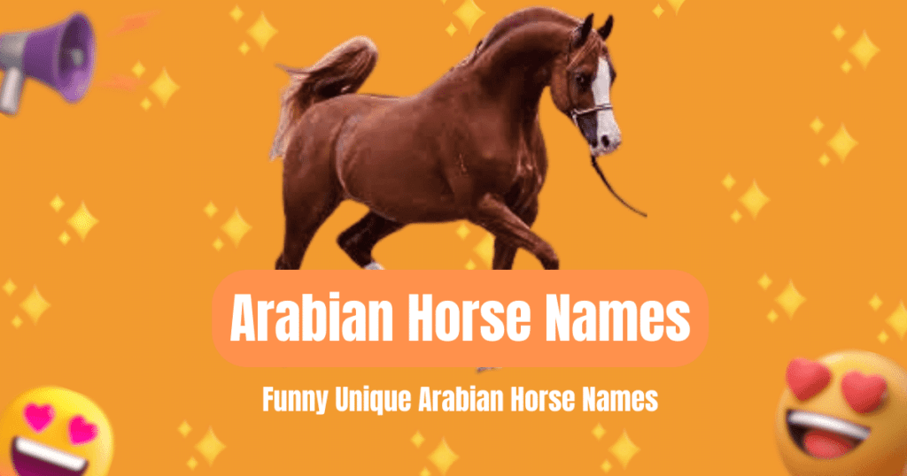 200+ Name Ideas For Arabian/Arabic Horse (With Meaning) 2024