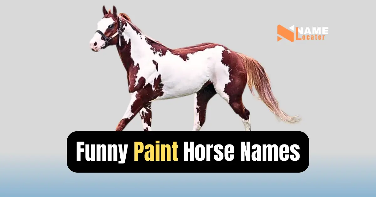 A paint horse with a colorful coat standing in a field. Text on the image reads: "Funny horse names: Moo Moo Moo, Horseradish, Udderly Ridiculous"