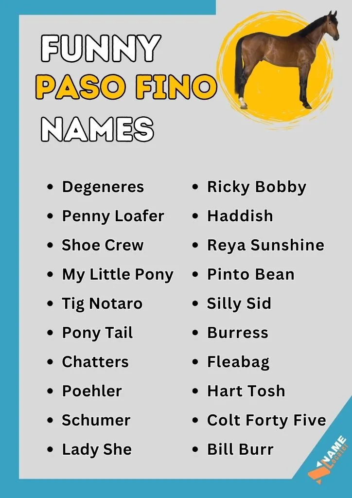 Funny Palomino Horse Names