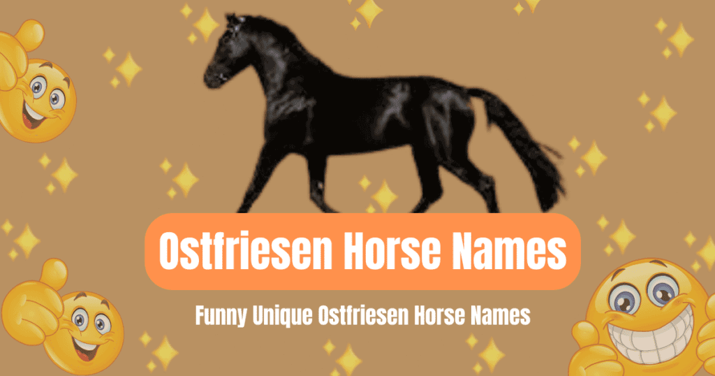 Ostfriesen Horse image with funny and unique names of all breeds.