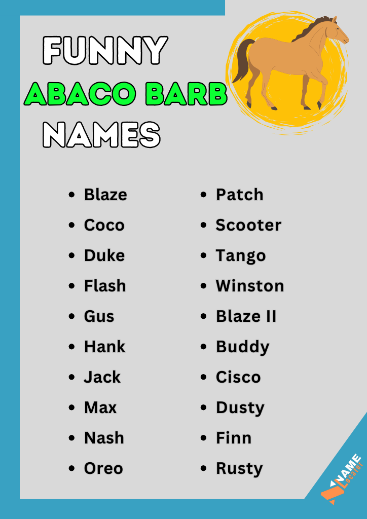 150-New-Abaco-Barb-Hourses-Names