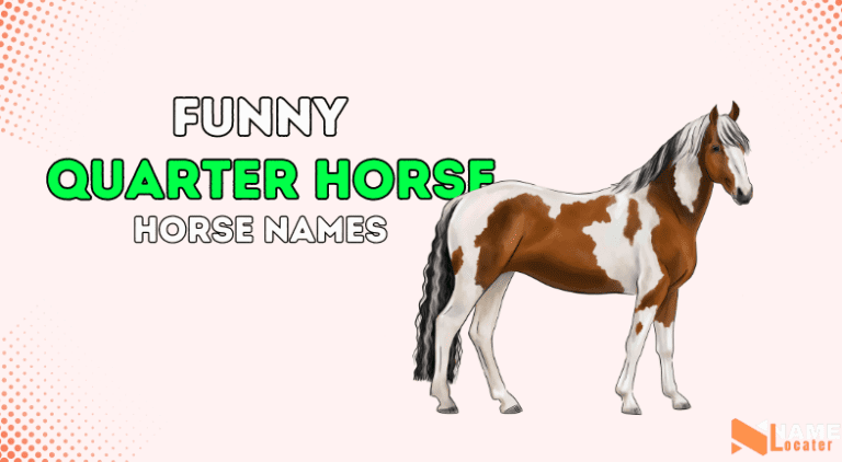 Quarter Horse