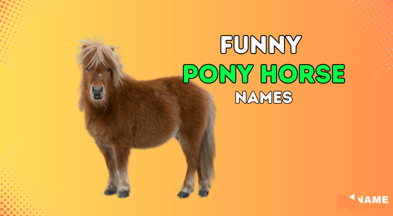 Pony Horse