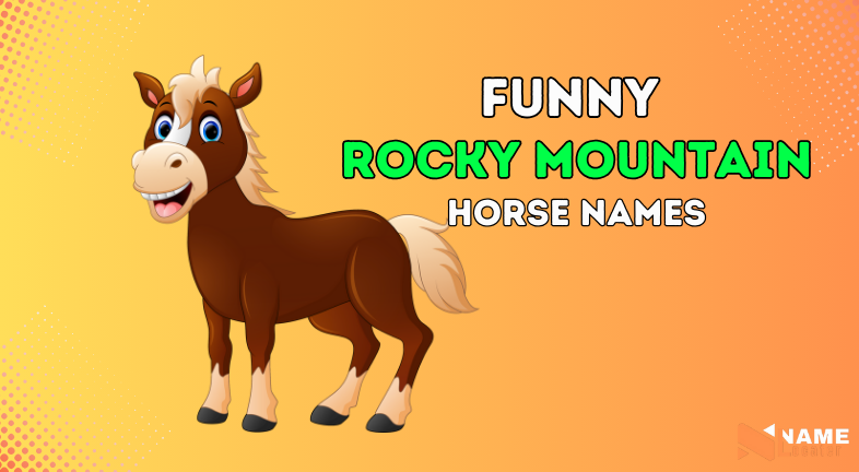 Rocky Mountain Horse