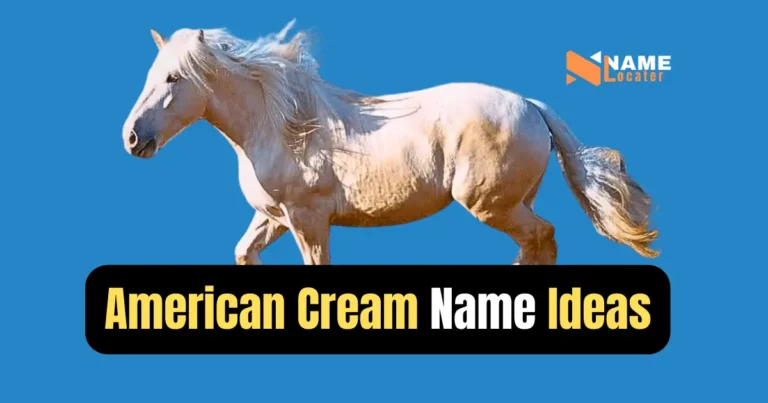 List of names for American Cream Horses