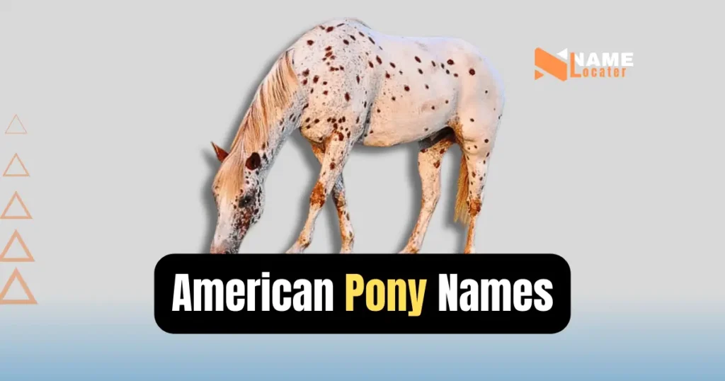 A list of names for American Pony horses.