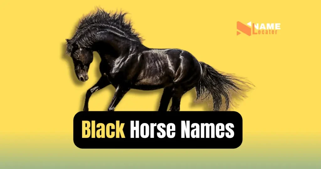 A list of names for a black horse in black and white text, including Shadowfax, Nightshade, Black Beauty, and Ebony.