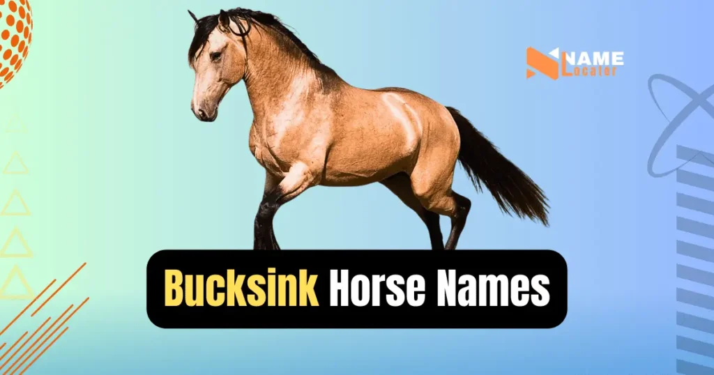 A list of buckskin horse names