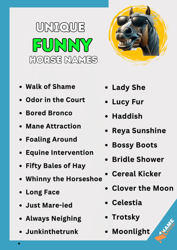 list of funny and unique names of horse