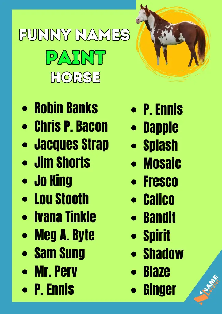 400+ Paint Horse Names 2024