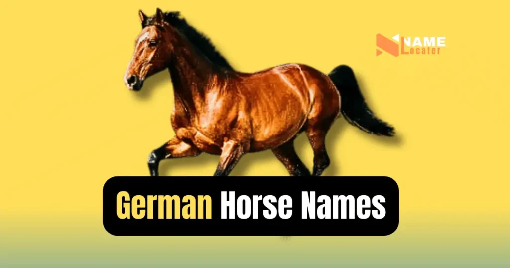 Find Your Favorite Horse Names For Every Breed