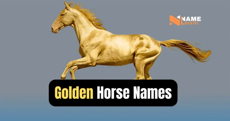 Need a name for your majestic golden horse? Look no further! This list offers a variety of options, from the sun-kissed (Sunray, Goldenrod) to the earth-toned (Buckskin, Canyon).