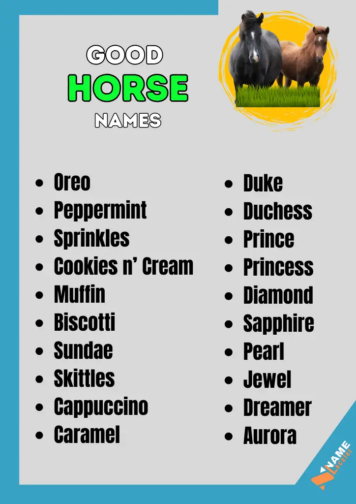 List of Good Names For Horse male and female