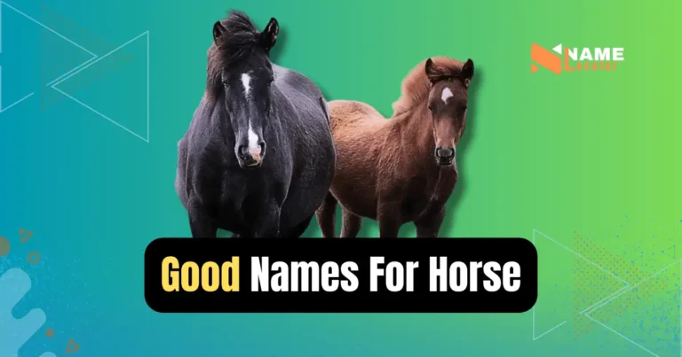 Good Horse Name Ideas