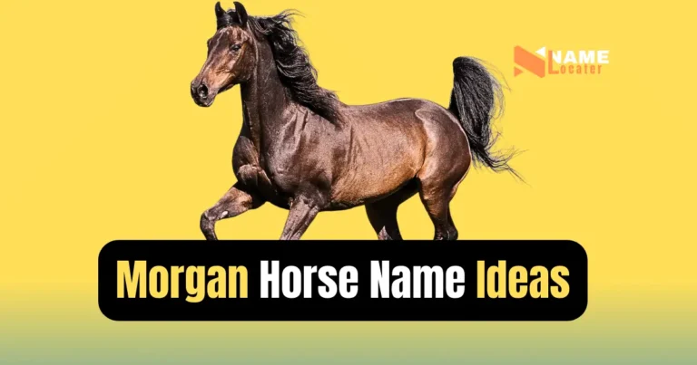 A list of popular names for Morgan horses, including Gentle Giant, Agile Elegance, Enduring Spirit, and more.