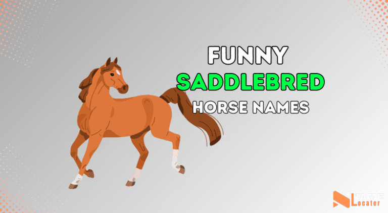 Saddlebred Horse Name Ideas