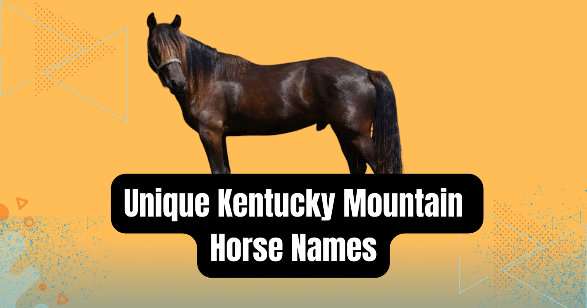 image for Kentucky Mountain Saddle Horse unique and funny horse name Suggestion post.