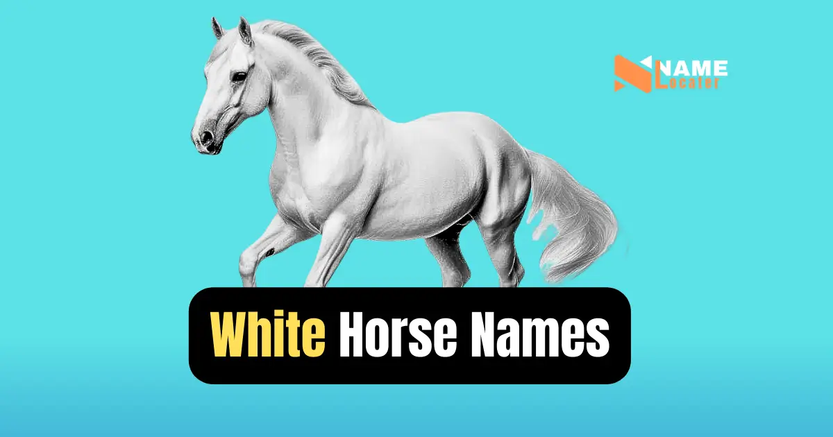 A handwritten list of names for white horses.