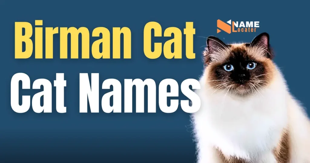 Names for Birman Cat