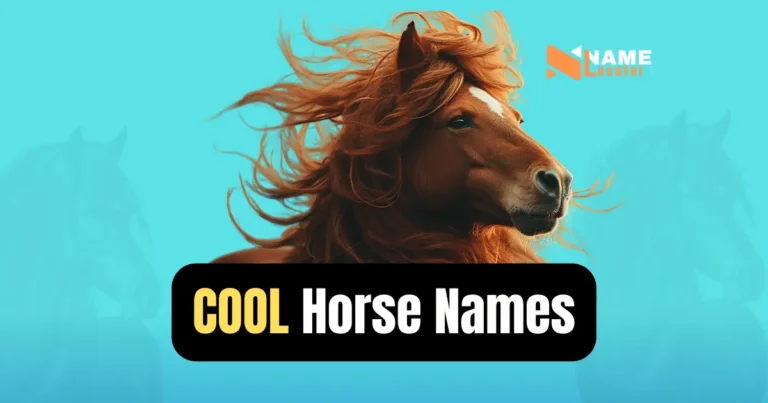 A list of names for a cool horse.