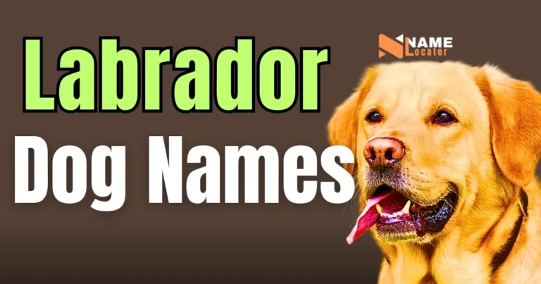 A list of text containing potential names for a Labrador Retriever dog breed.