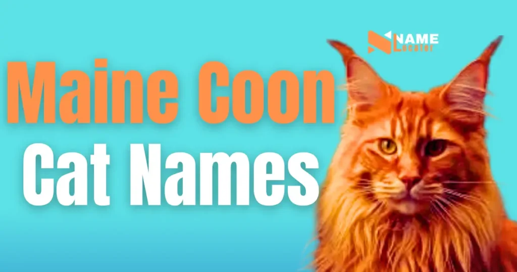 A list of names for Maine Coon cats.