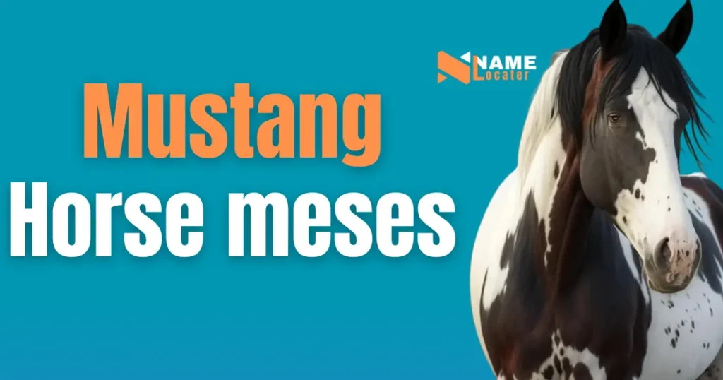 Pick a name that suits your mustang's personality or looks.