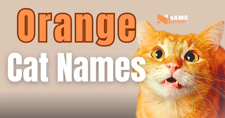 A list of names for orange cats.