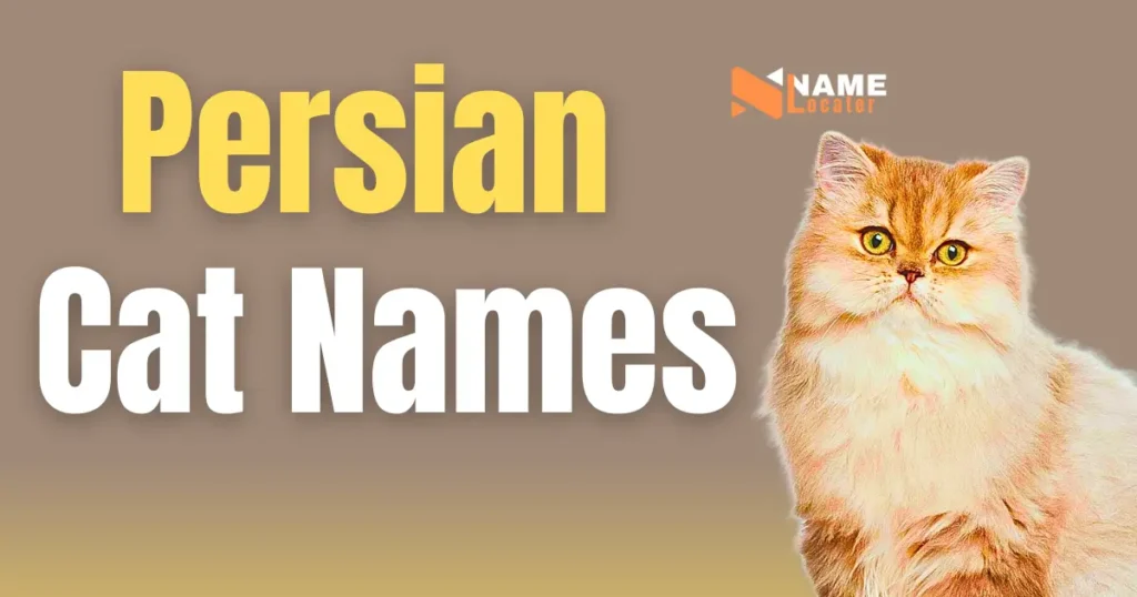 Beautiful Persian cat Names for a fluffy coat and a sweet expression