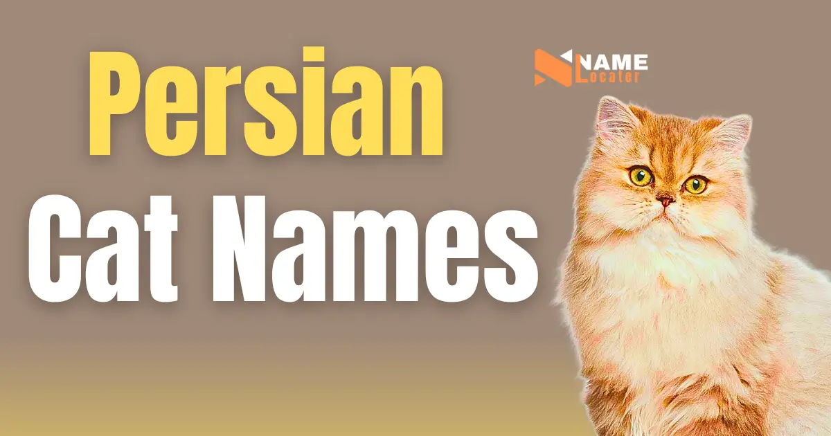 Persian Cat Name Ideas