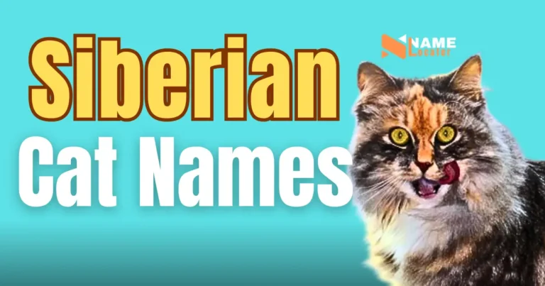 A list of names for Siberian cats in shades of brown and white