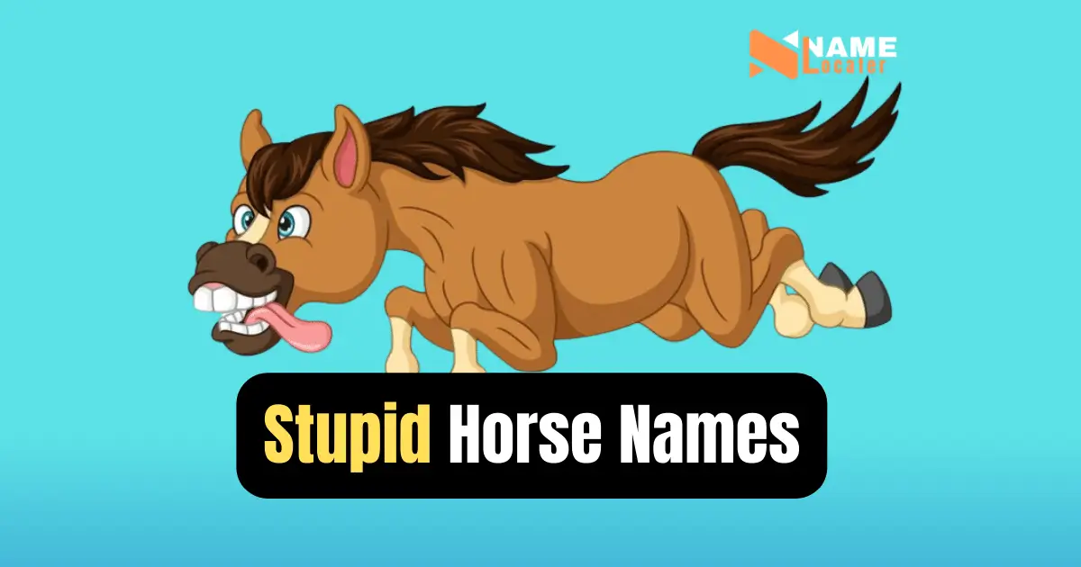 A list of funny names for a horse that is considered silly or goofy.