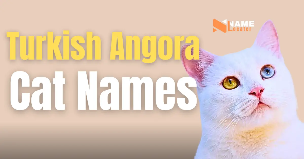 List of Turkish Angora cat names.