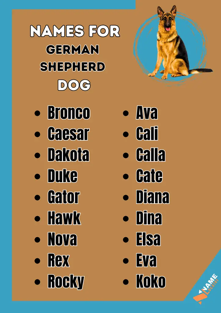 List of German Shepherd dog names